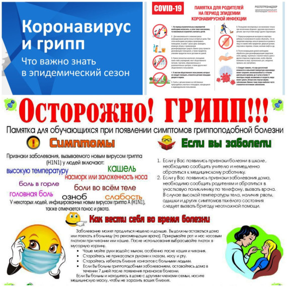 Профилактика Грипп, ОРВИ, новая коронавирусная инфекция (COVID-19).