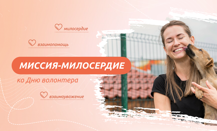 Разговоры о важном "Миссия милосердия (ко дню волонтера)".